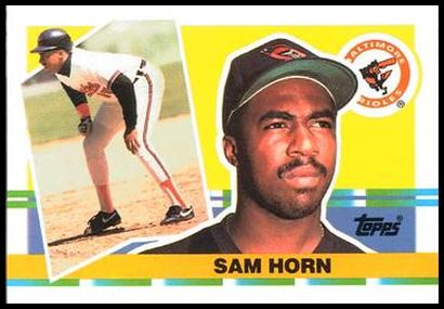 307 Sam Horn